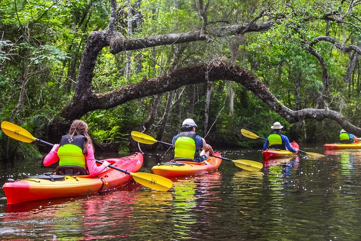 Amelia Island Guided Kayak Tour of Lofton Creek  - Photo 1 of 9